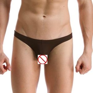 Brown Brief